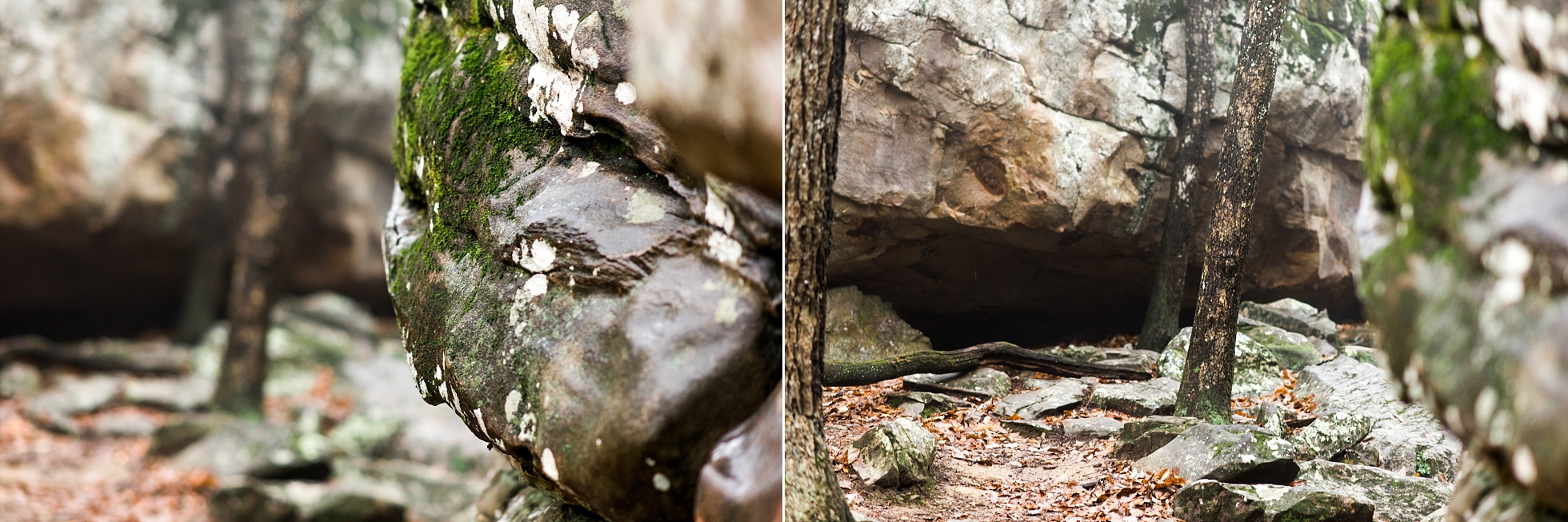 Sam & Sarah | A Moss Rock Preserve Engagement