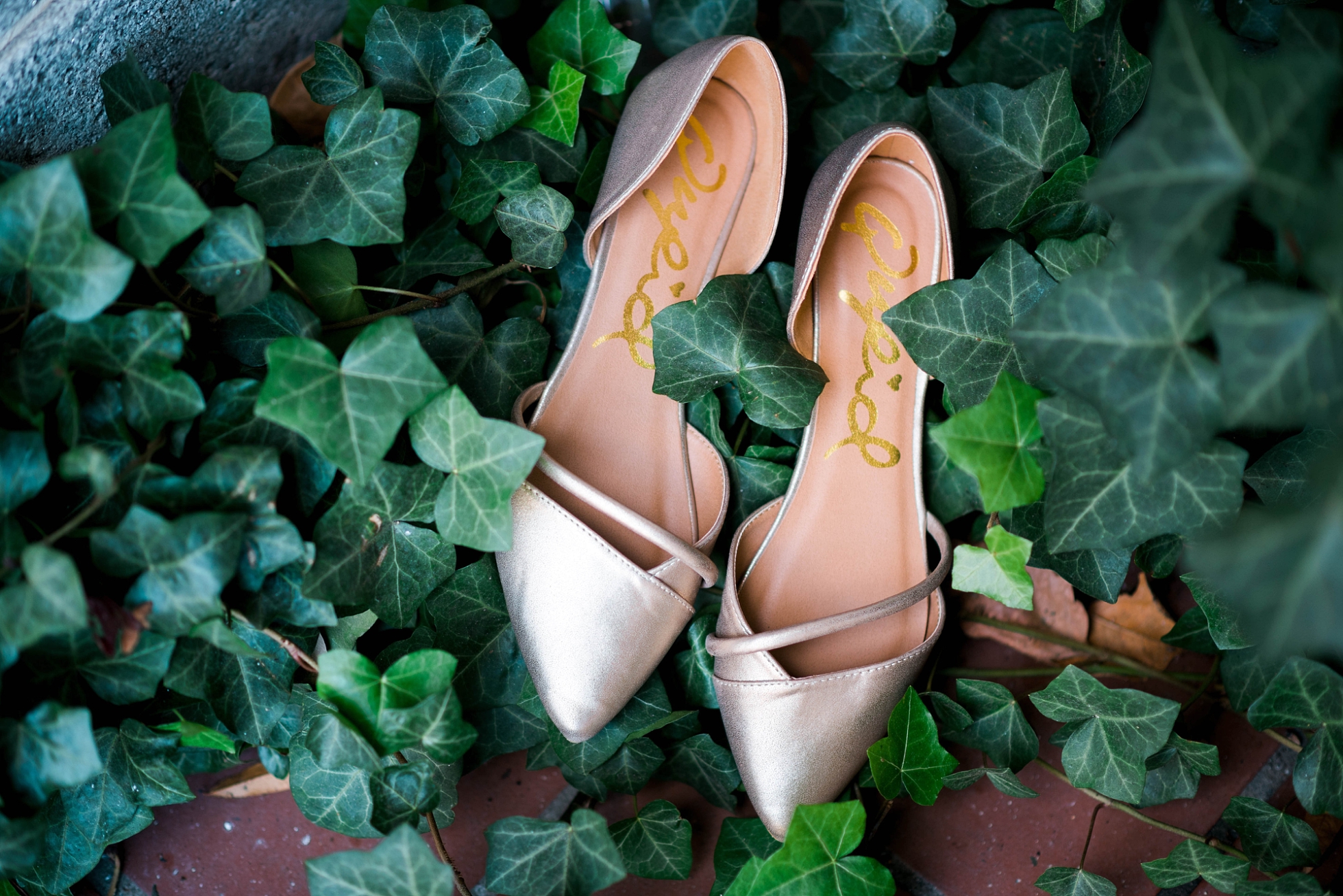 BRIDE'S SHOES | MATT & MEGAN | CAREY WEDDING | B&A WAREHOUSE | ST. FRANCIS XAVIER