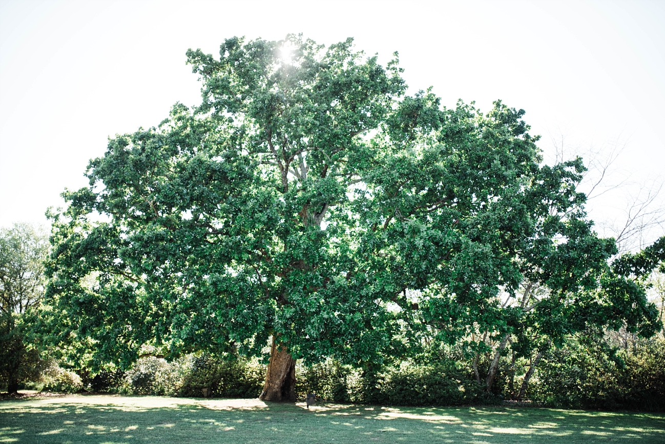 A GARDEN ELOPEMENT | LUKE & TIFFANY | JASMINE HILL GARDENS