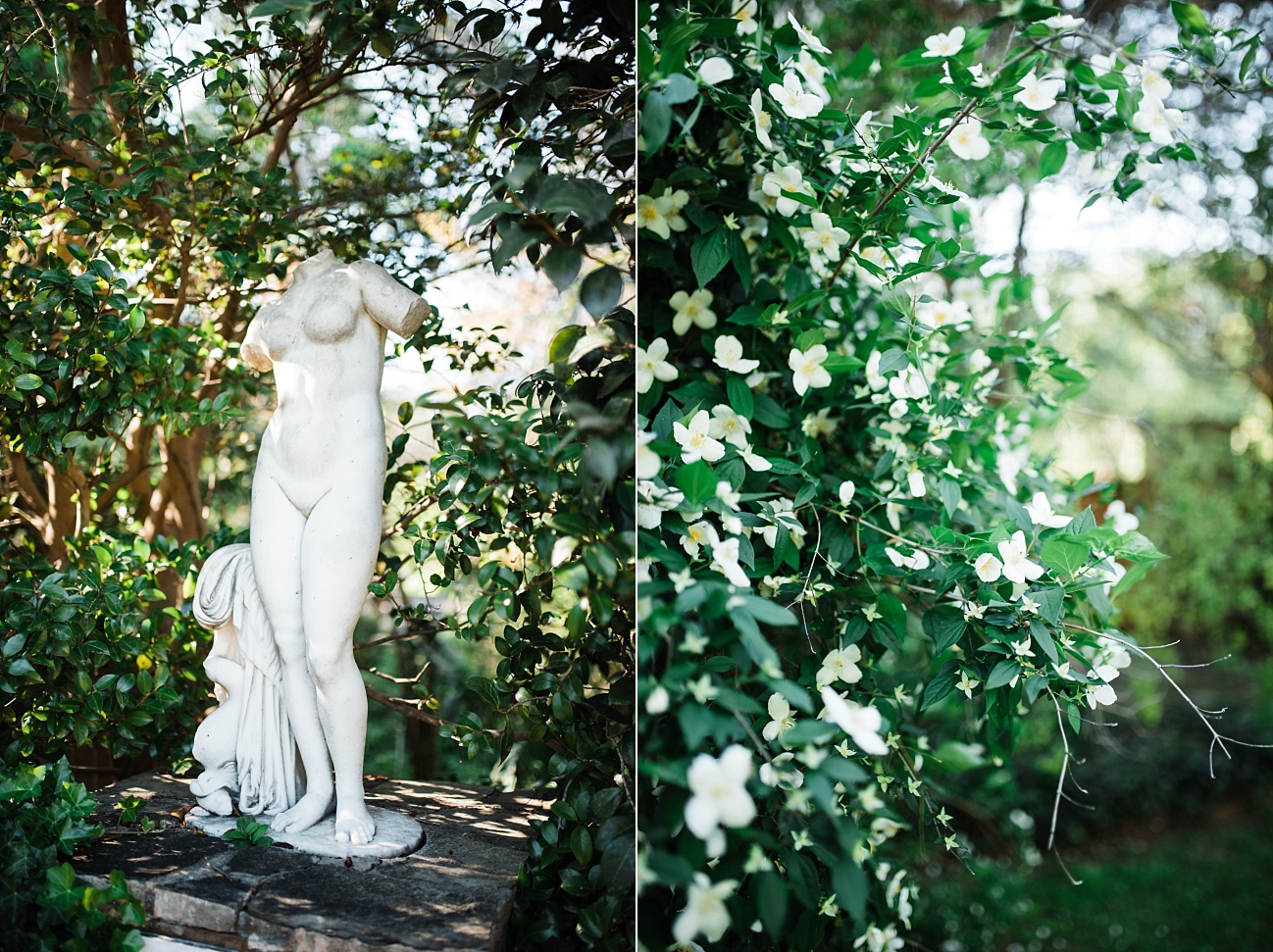 A GARDEN ELOPEMENT | LUKE & TIFFANY | JASMINE HILL GARDENS