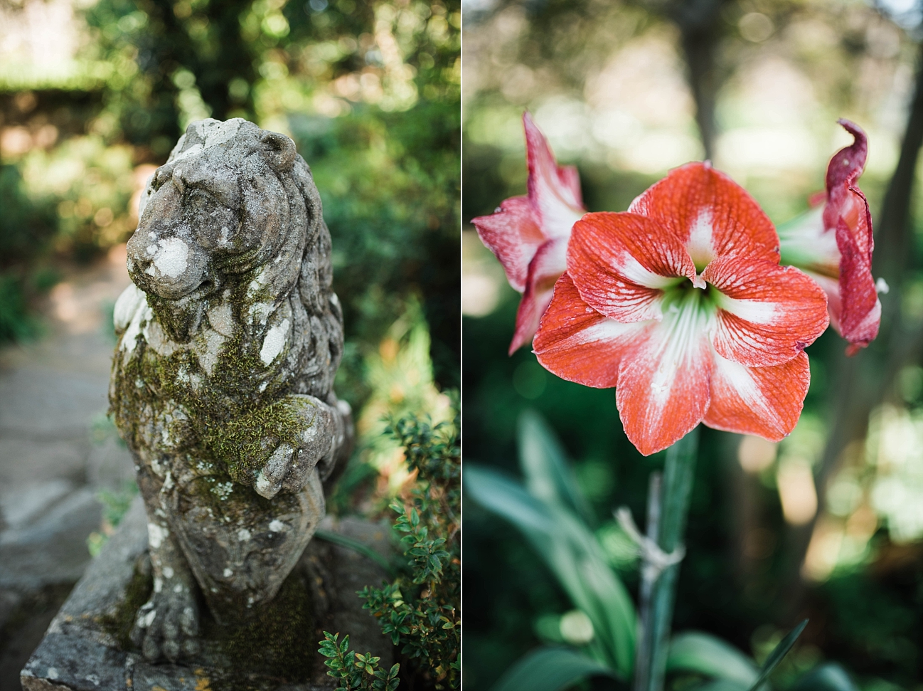 A GARDEN ELOPEMENT | LUKE & TIFFANY | JASMINE HILL GARDENS