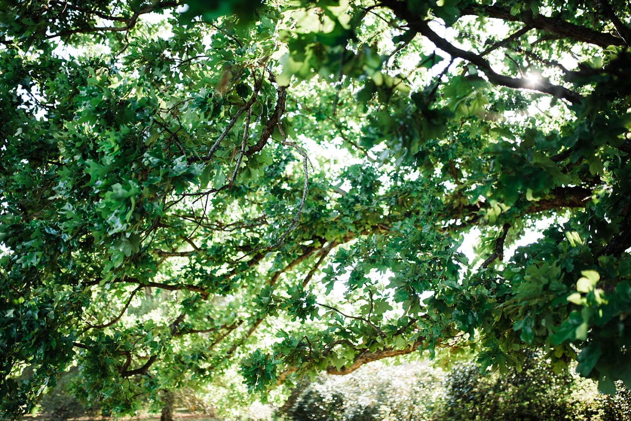 A GARDEN ELOPEMENT | LUKE & TIFFANY | JASMINE HILL GARDENS