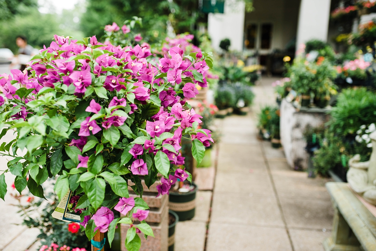 BIRMINGHAM BOTANICAL GARDENS | A SPRING ENGAGEMENT SESSION | STUART & ASHLYN | BIRMINGHAM, AL