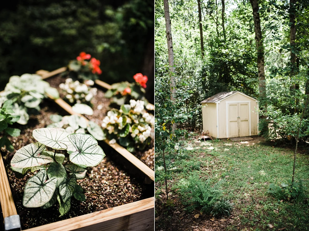 AN INTIMATE BACKYARD BIRMINGHAM WEDDING | NATE & MEGAN BUSH | LAURA WILKERSON PHOTOGRAPHY