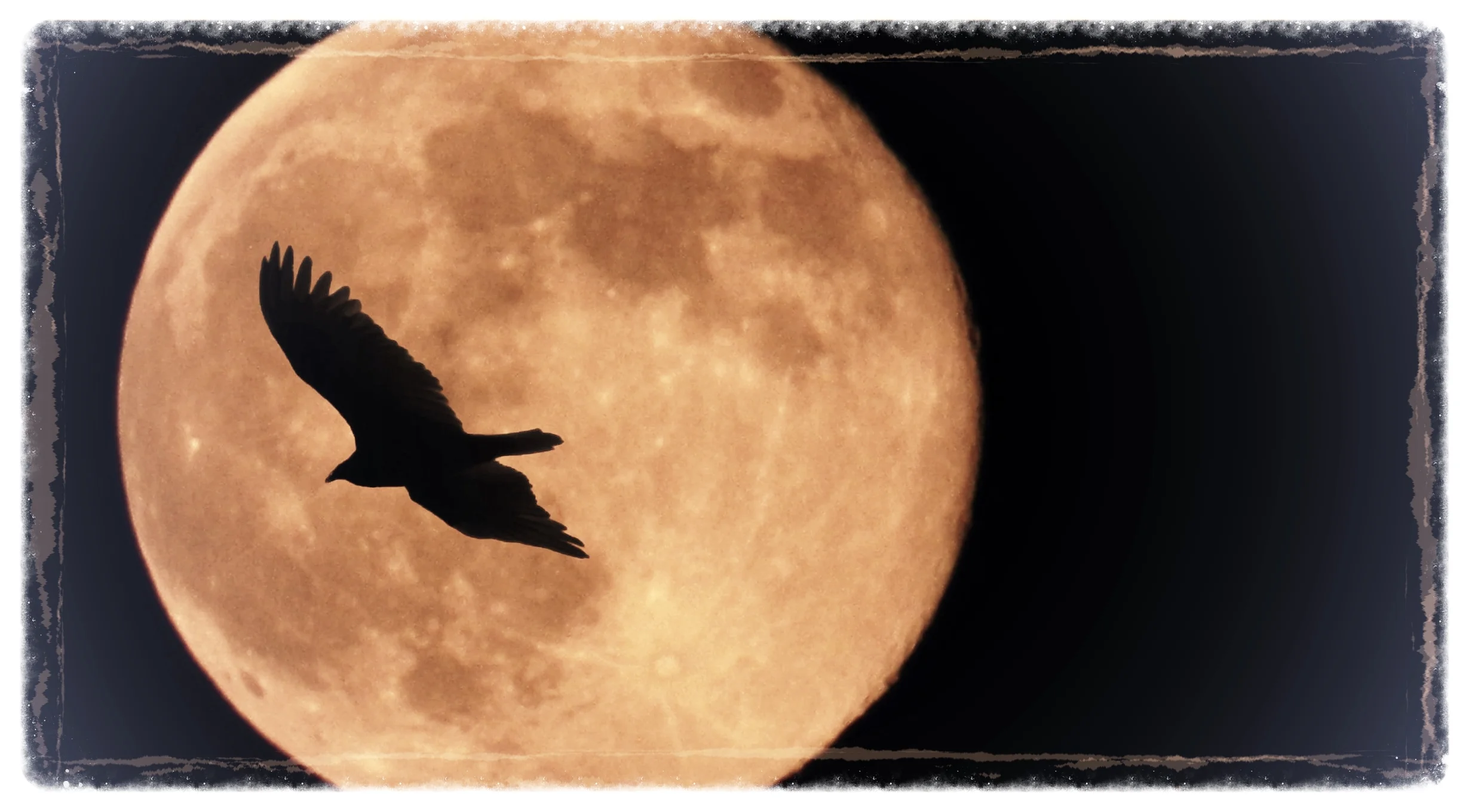 If you're going to make it big, you'll have to write your own songs - by Sharon Sullivan