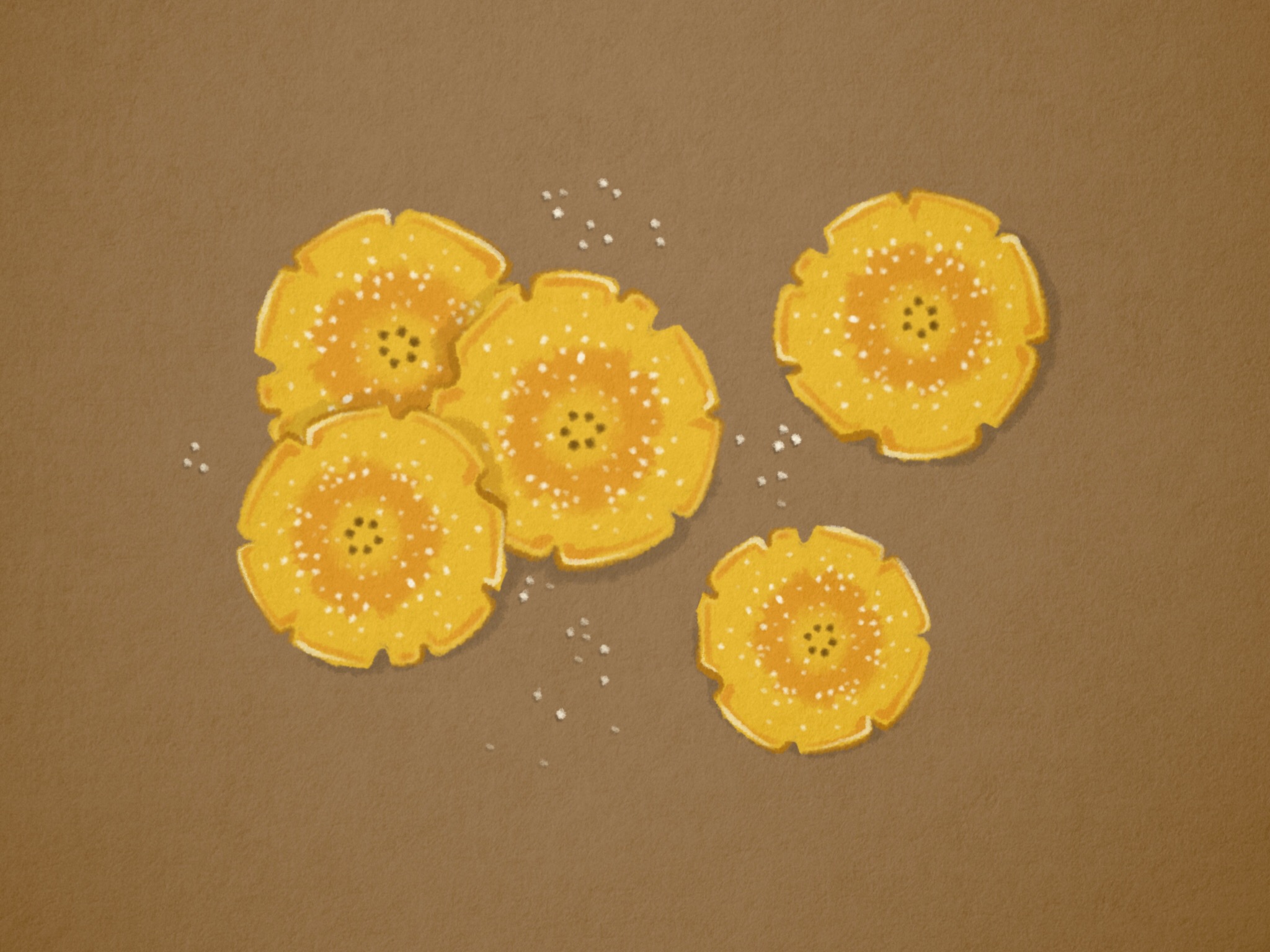 Cuban Food | Tostones