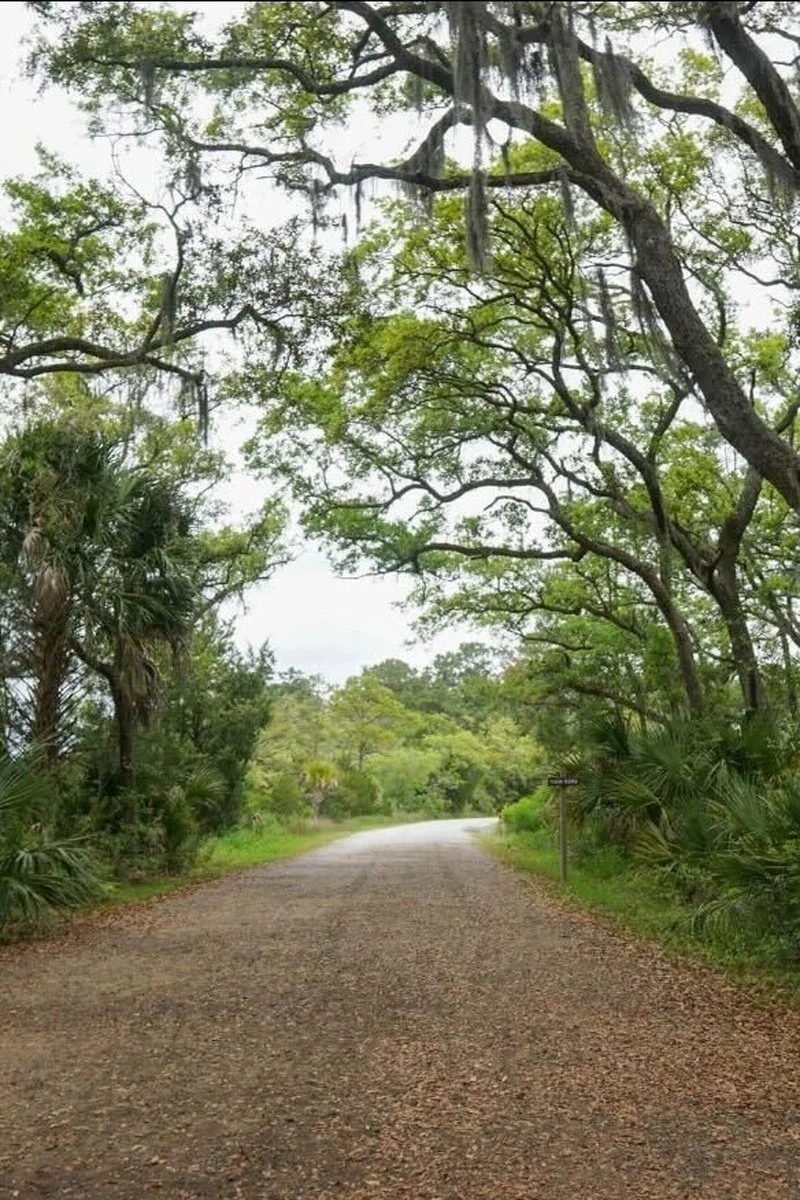 Where to Run in the Lowcountry: Our Favorite Local Routes
