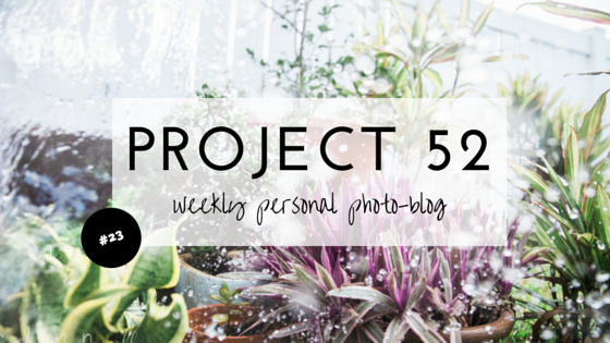 P52-WEEK-23-CANDICE-MACDONNELL-PHOTOGRAPHY.png