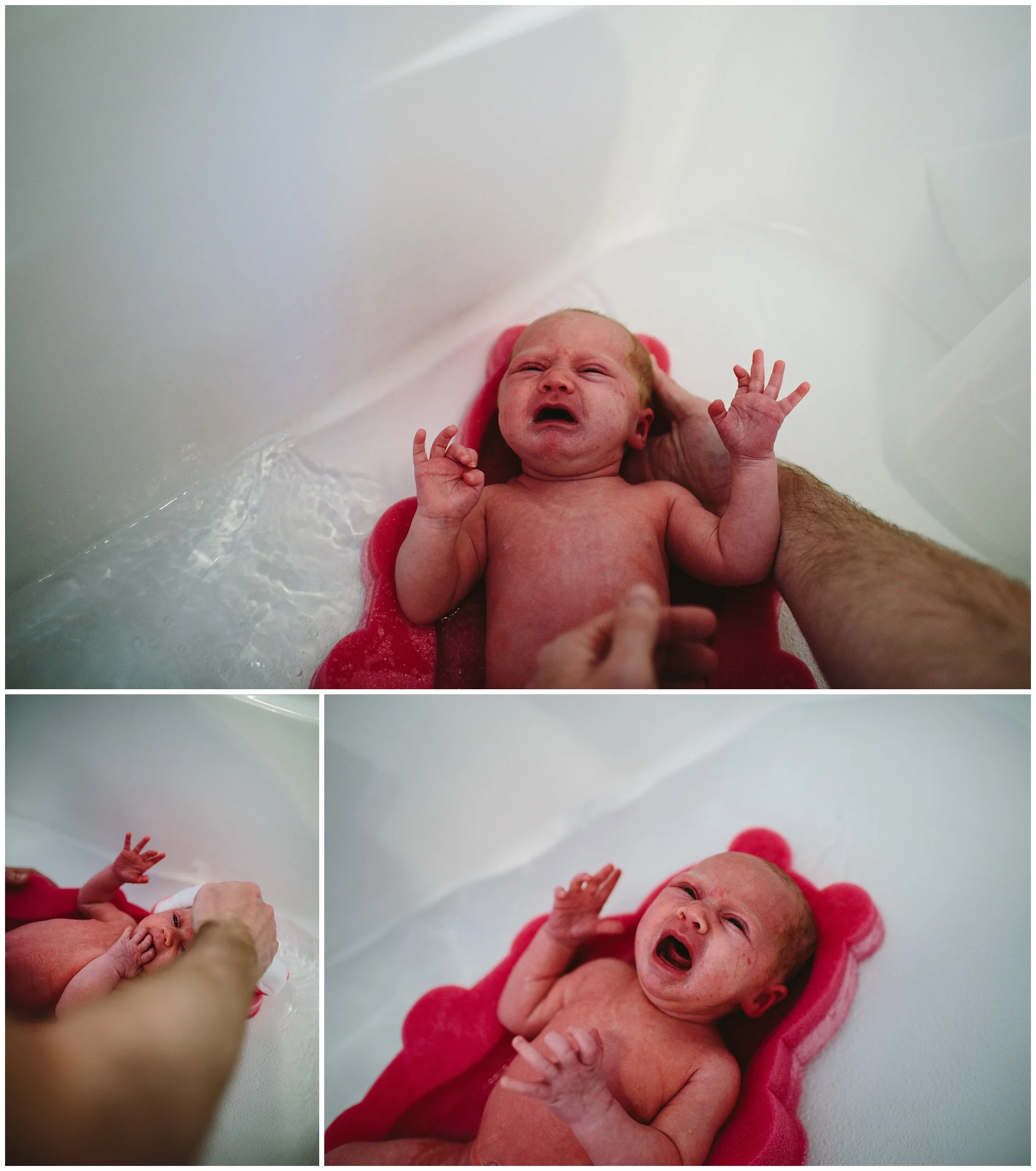 IMG_4976_www.candicemphoto.com.jpg
