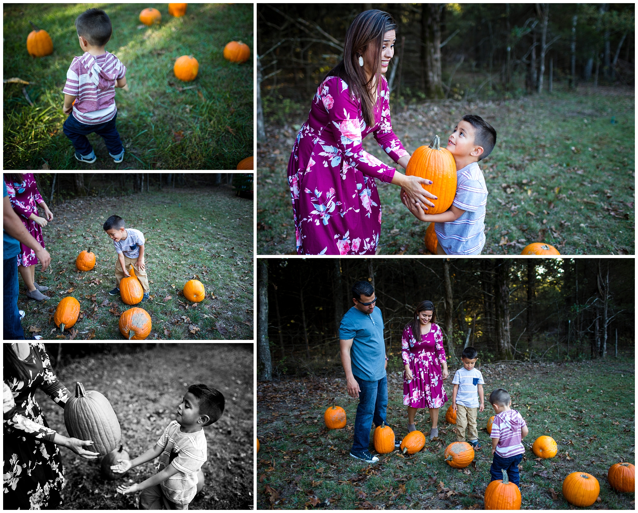 family playing at pumpkin patch documentary photography