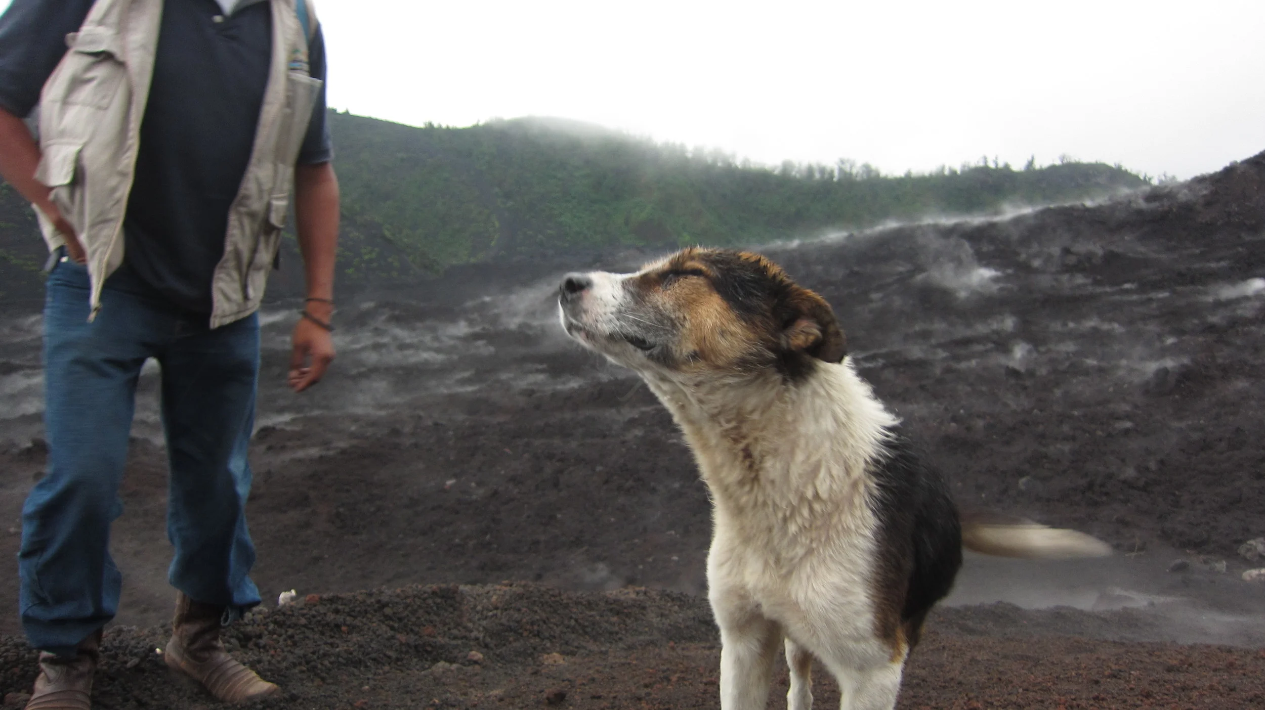 Pacaya Volcano, Guatemala