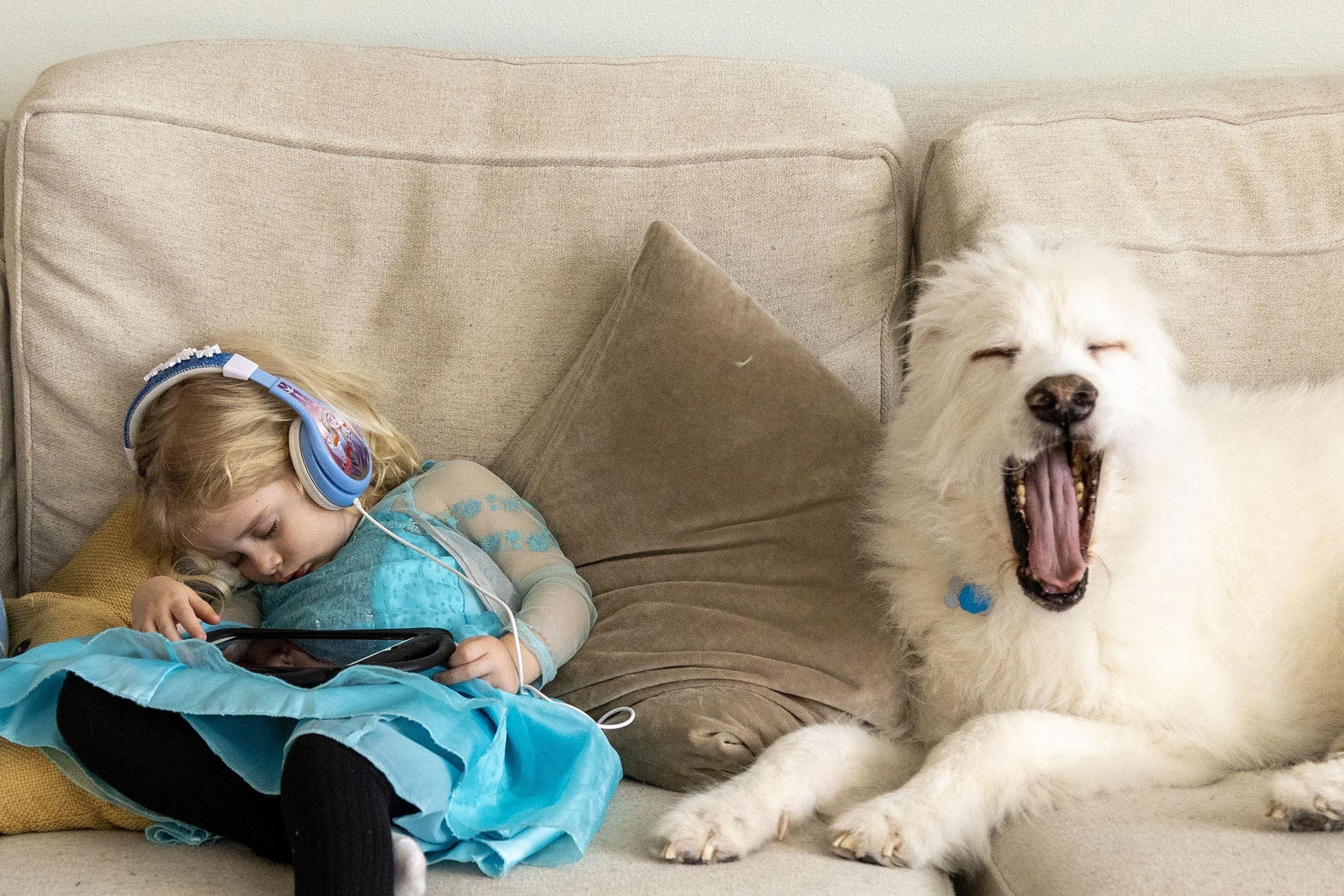 Unposed family photography session of girl and great pyrenees
