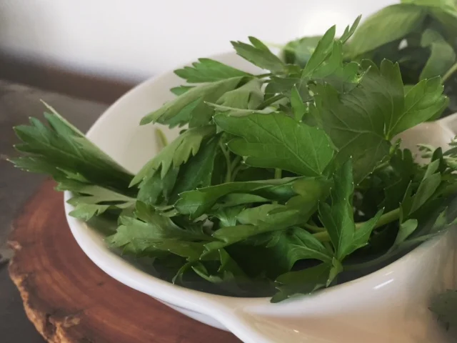 Organic italian parsley