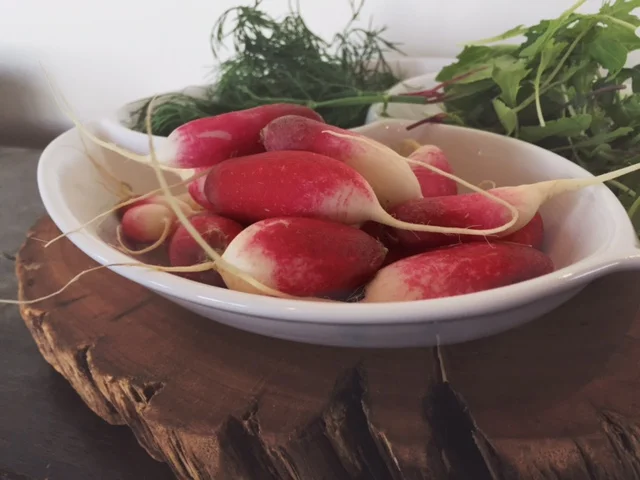 Organic french breakfast radish