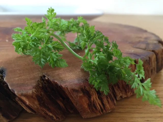 Organic Chervil