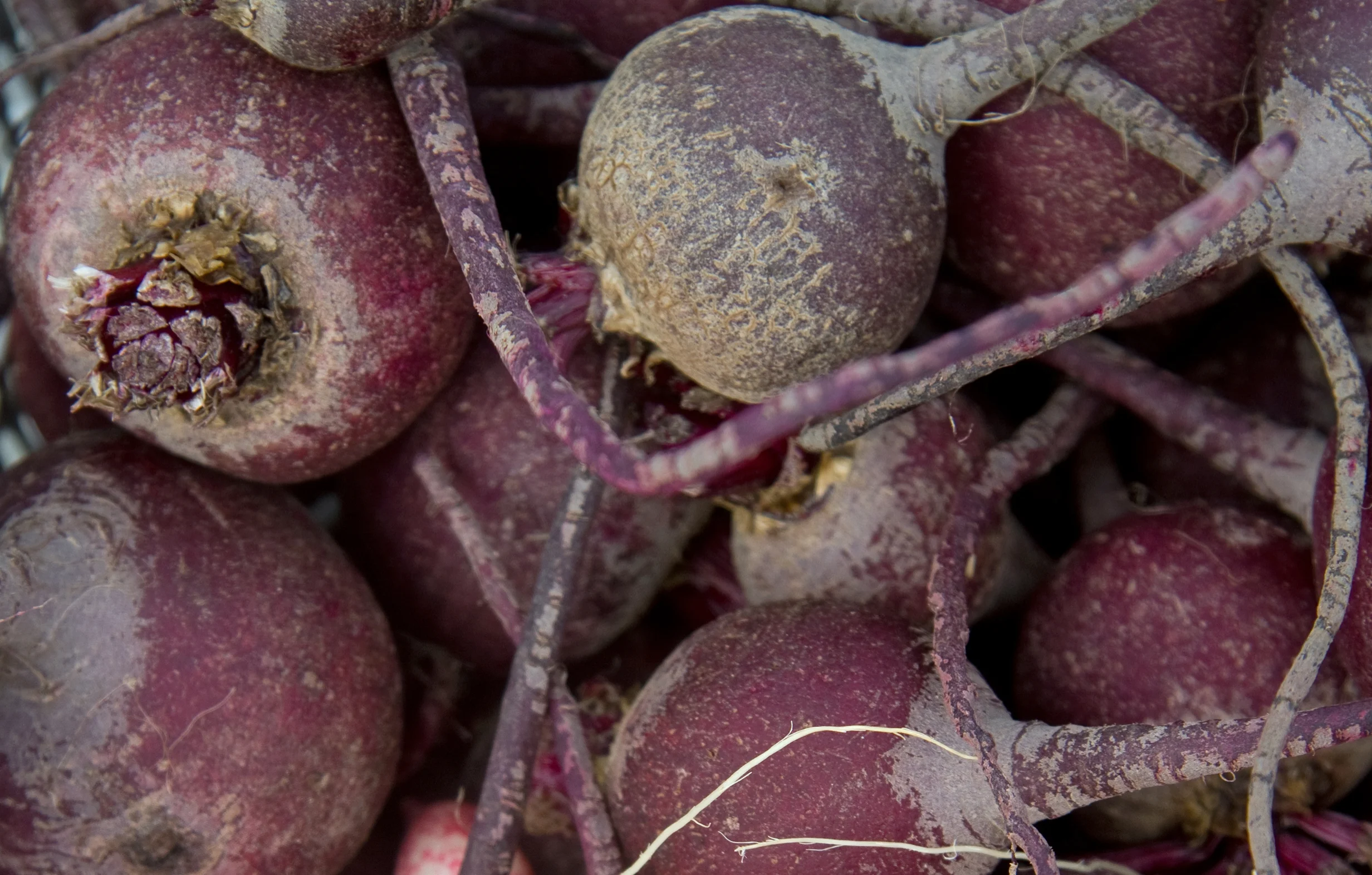 Organic beetroot