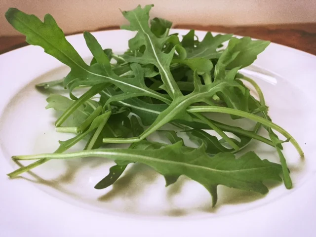 Organic wild roquette