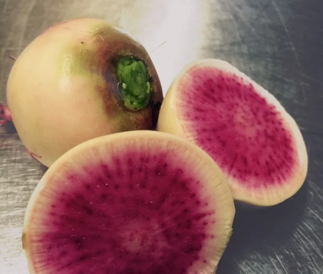 Organic watermelon radish