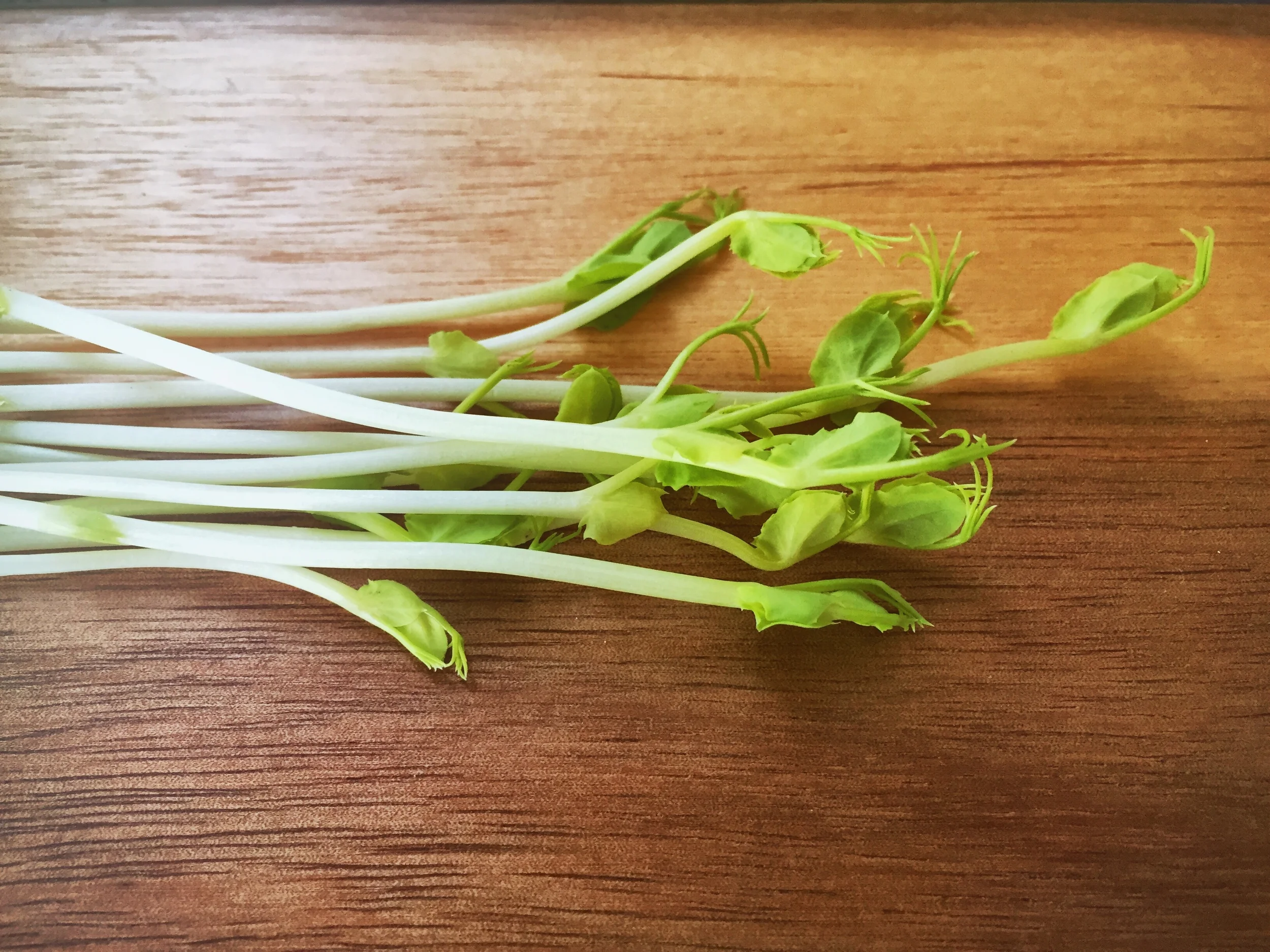 Organic Pea Shoots