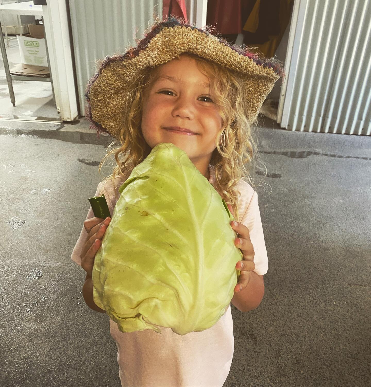 School holidays harvest success!👌🏼

🌱🌱🌱🌱🌱🌱
#marketgardening #gardening #veggiegarden #veggies #organicveggies