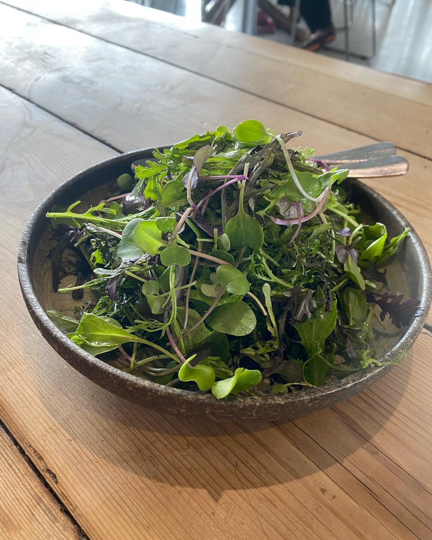 We had the pleasure to eat our salad leaves at Ghost Rock Vineyard 🤩
John the chef did a top job!👌🏼

@ghost_rock_wines_eatery #tasmanianproduce #tasmanianwine #tasmaniancellardoor #eatlocal #microgreens #organicproduce