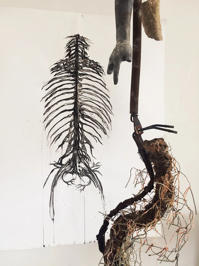 edit.spinal cord 2.jpg