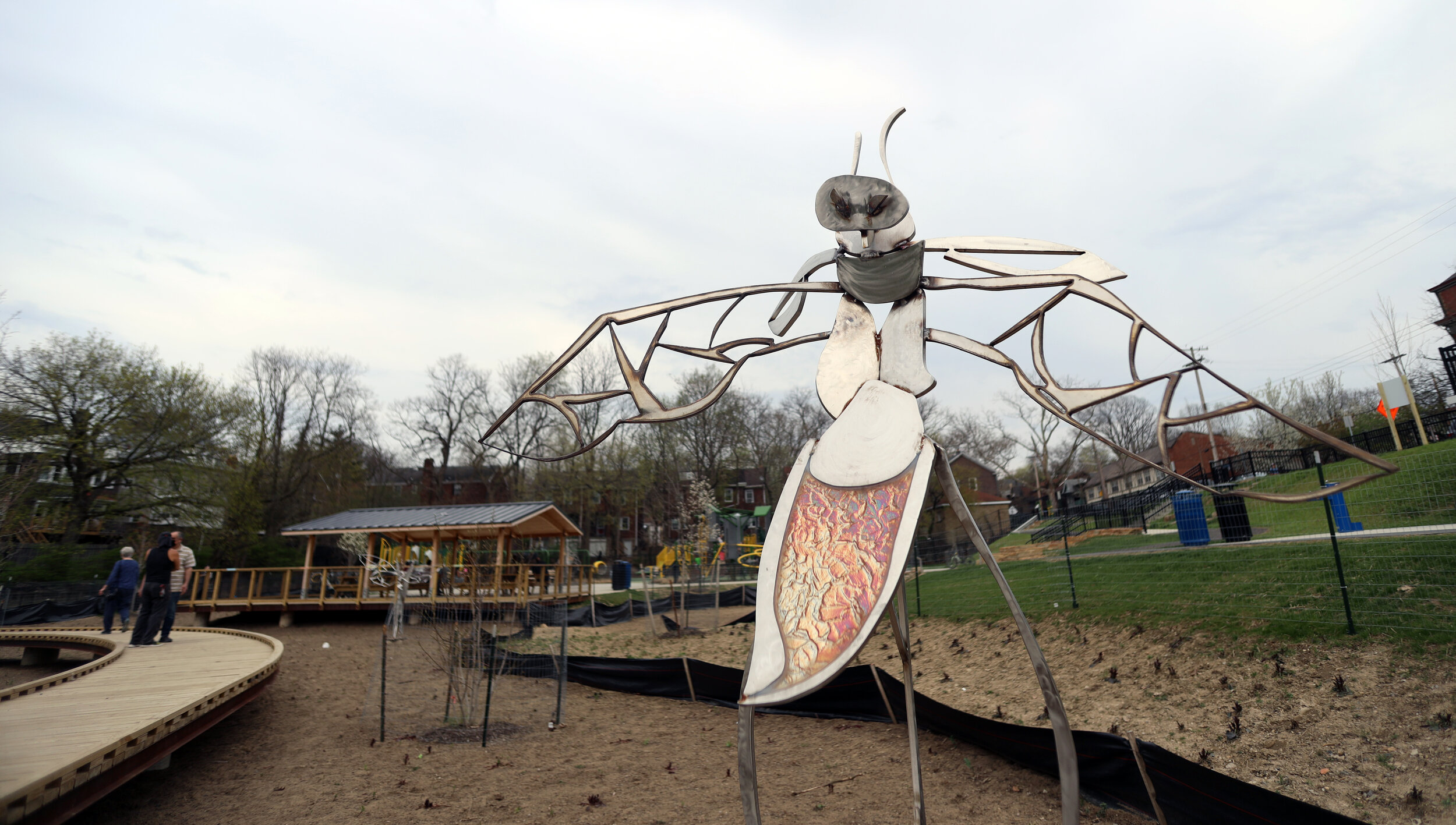 lightbug 1.jpg