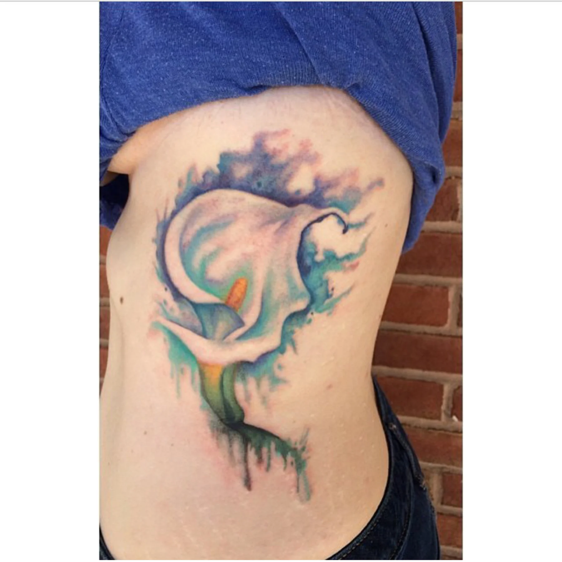 watercolor lily ribs.jpg