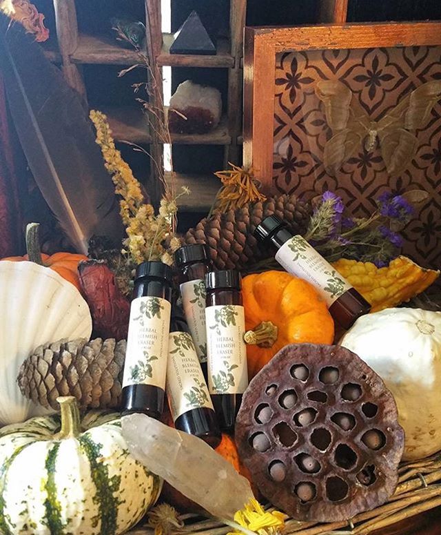 Sacred Solutions Herbal Blemish Eraser Oil blend is here for the Fall season in larger jars! 🎃🌾🍁🍂🎃 #sacredsolutions #acneoilblend #blemisheraser #sacredsolutionsskincare#acne #acnetreatment #acnescars #blemishes #blemishfree #organic #organicski