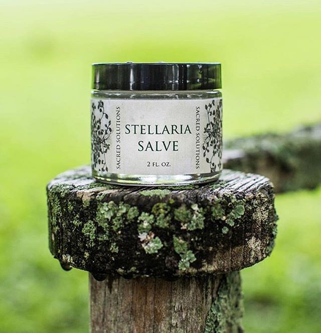 Sacred Solutions Stellaria Salve heals your tattoo with ease...faster than most traditional petroleum-based products! Relieve redness, inflammation, with cooling chickweed which is natural antibacterial. Blended with apricot oil is light on skin, gre