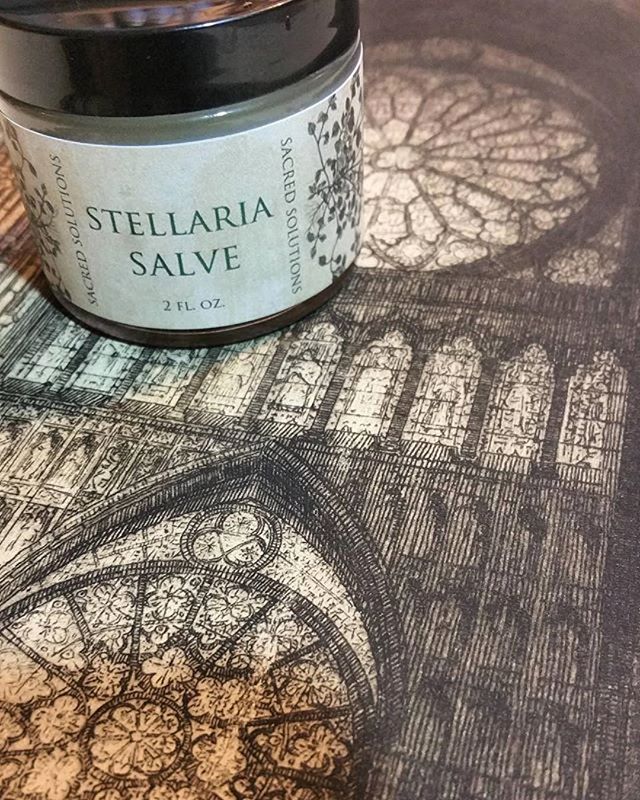 Sacred Solutions Stellaria Salve has essential oil and natural tinctures of chickweed and plantain in this soothing, nourishing, tattoo healing salve!  Coming soon 4 and 8 oz jars!!!!!!!!🌿🍀🍃💫 Great for pain and sensitive skin. Reduces bleeding/re