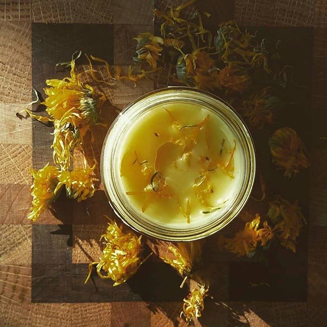Sacred Solutions Calendula &amp; Chamomile soothes dry itchy skin while you smell like an amazing cup of chamomile tea! #sacredsolutions #herbal #natural #organic #calendulasalve #tattoosalve #reducesredness #chamomile #chappedskin #dryskin #inflamma