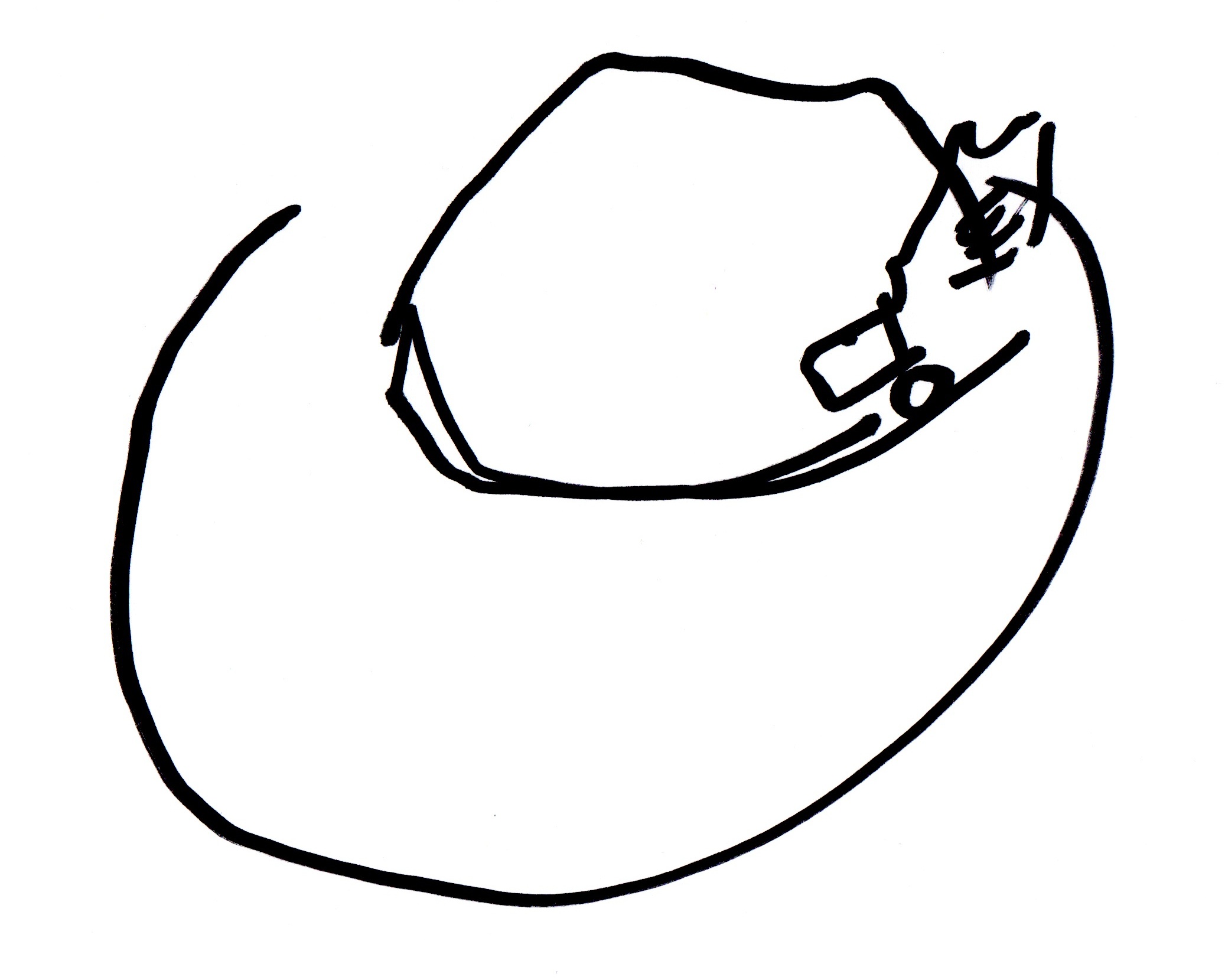fedora+1.jpg