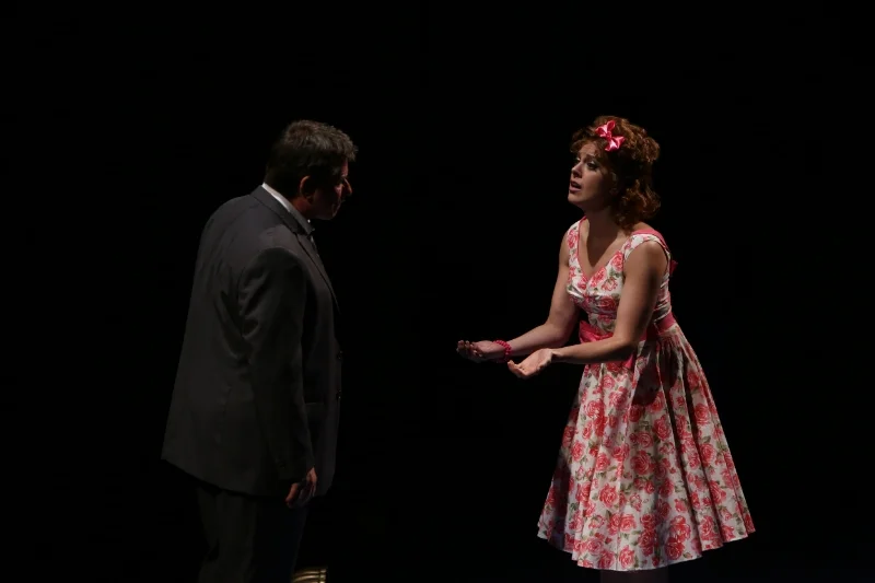 One Man Two Guvners - St Louis Rep