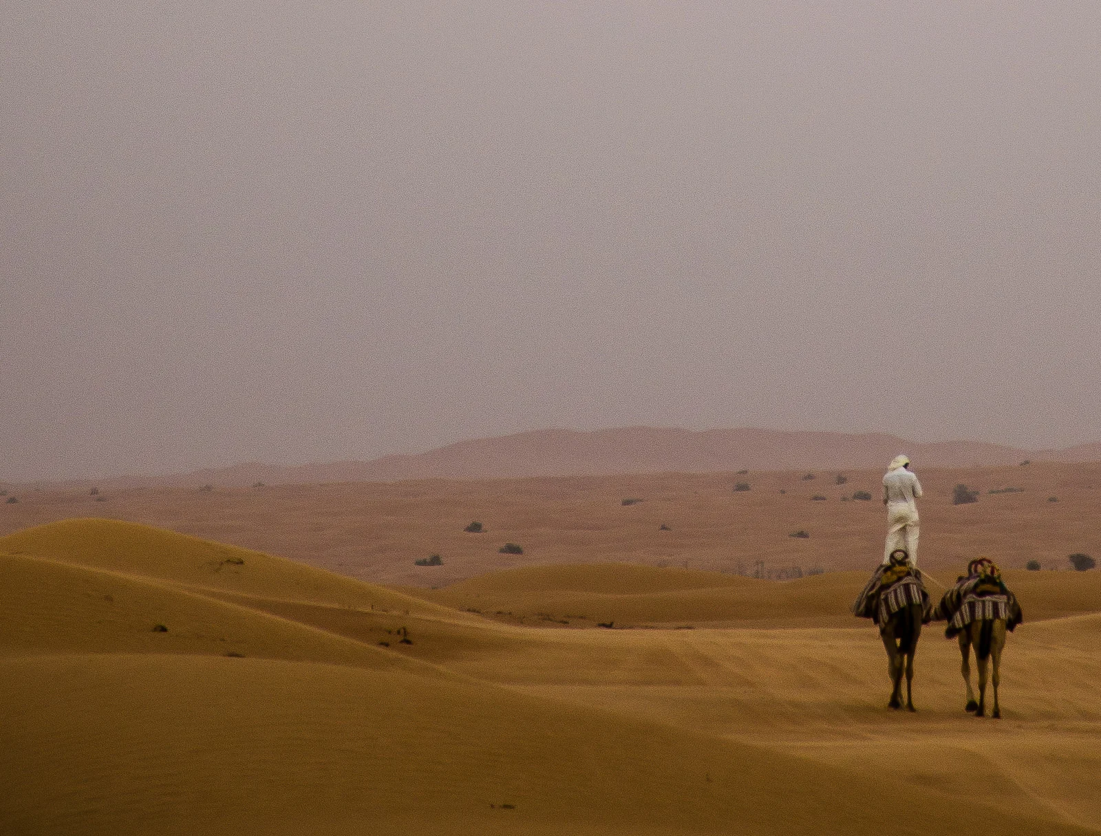 Camel Rider