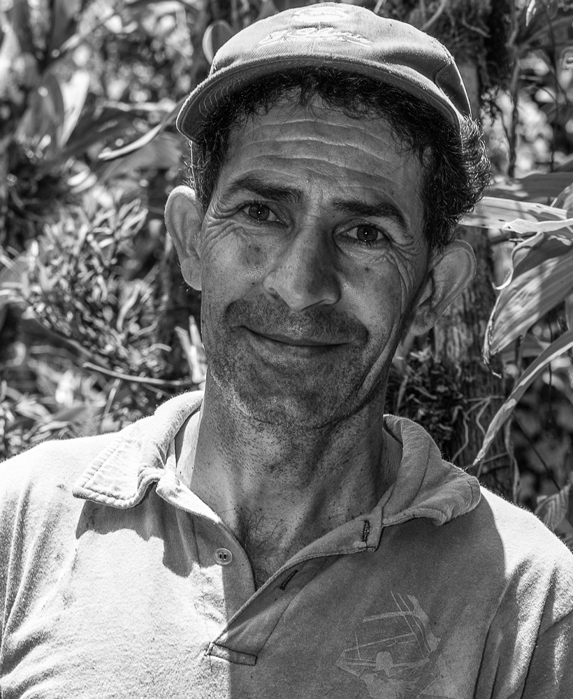 The Gardener