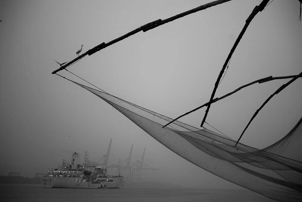 Fishing Nets