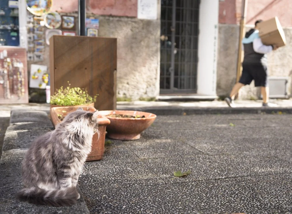 Hey where you goin'? (Price: $150)