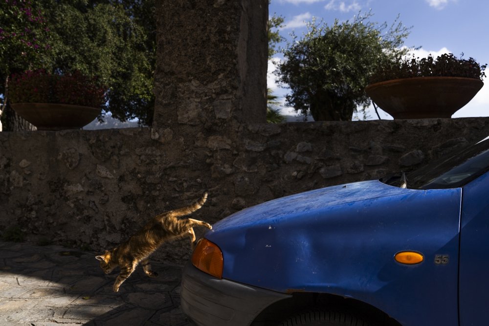 Sorry gotta go: Price $200