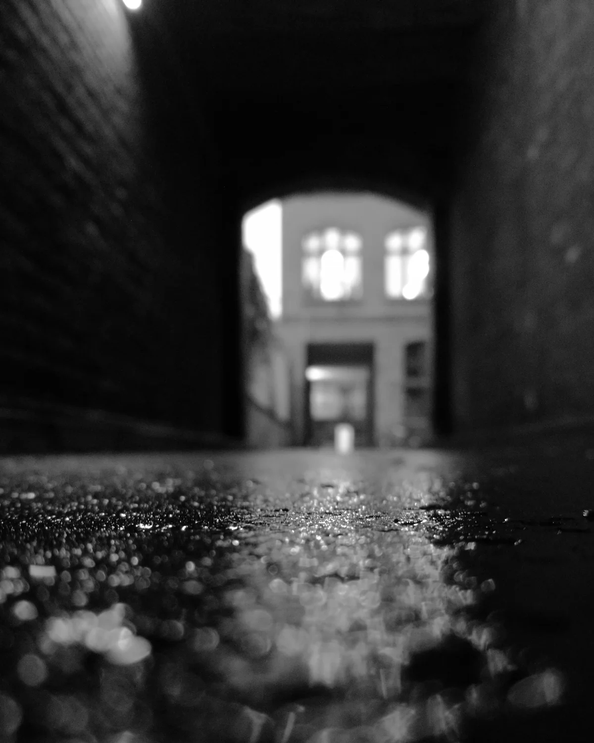 Shallow DOF, low to the ground. Same location with a very different feel and purpose.