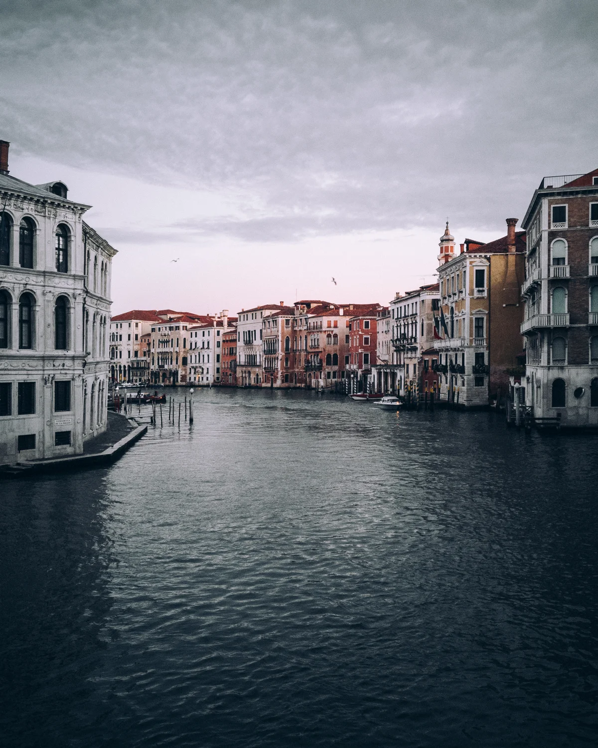 Very clean and simple composition photographed in Venice, Italy. Personally I would not choose this image as the "subject": the buildings by the water become less pronounced through the small amount of space they take.