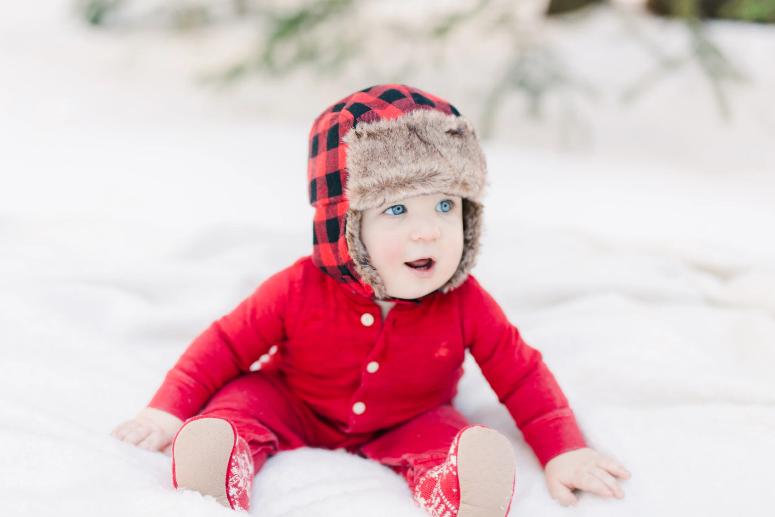 Colorado | Odin 9 months