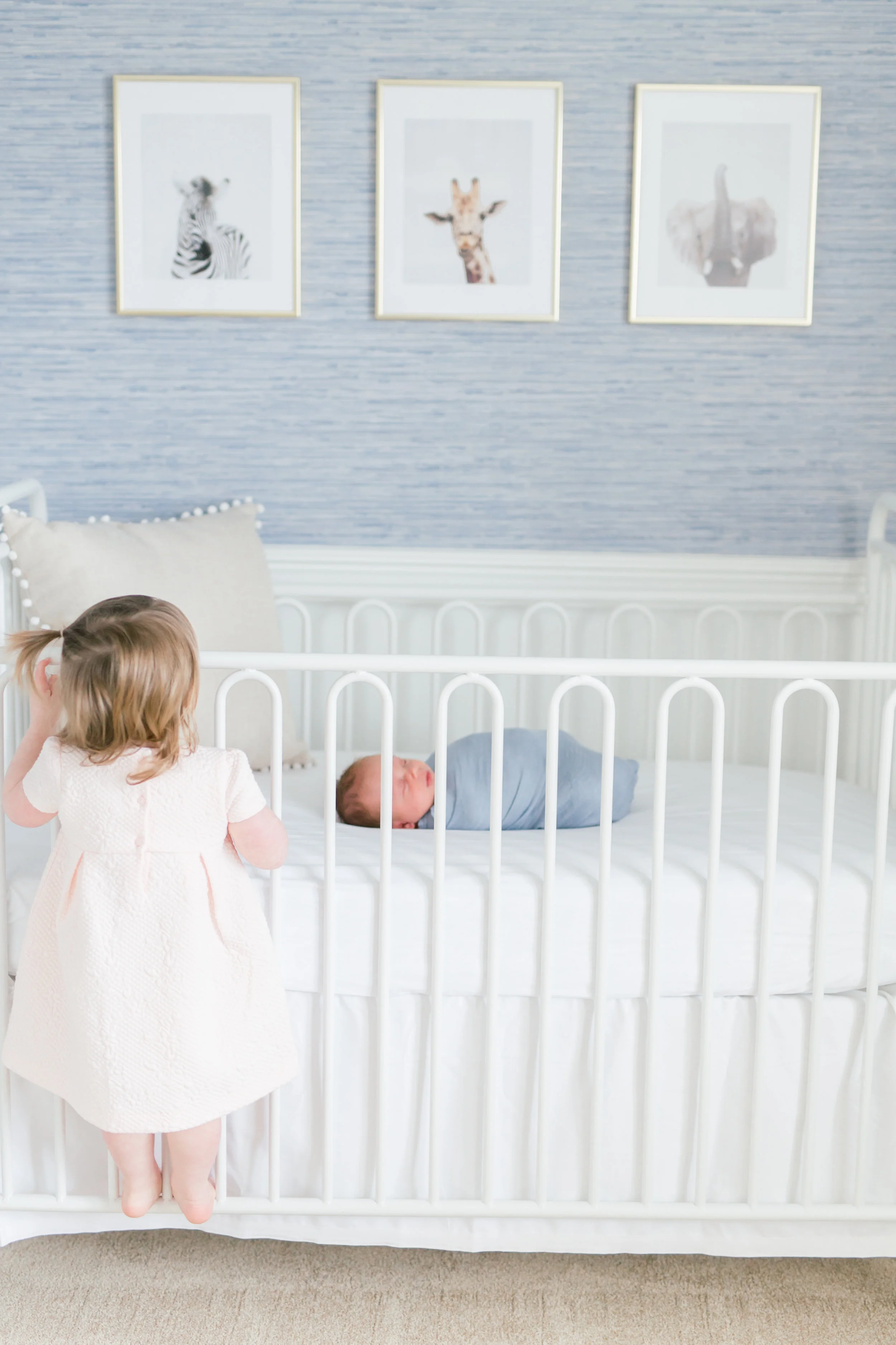 Schoenbaechler | Newborn