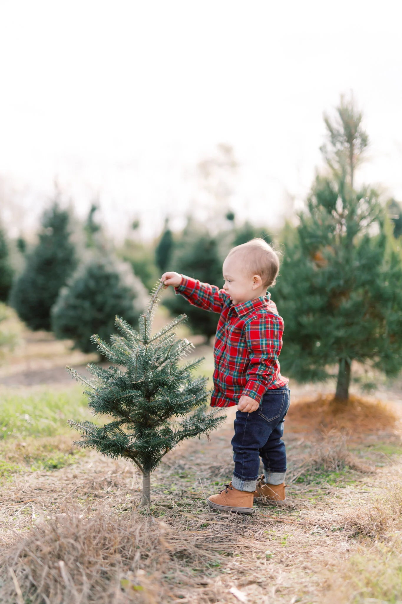 2019 Christmas minis | Lifestyle