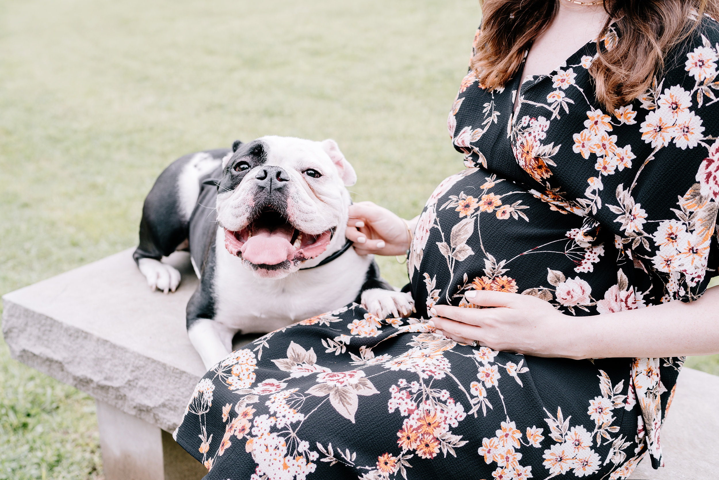 santa barbara, california maternity photographer