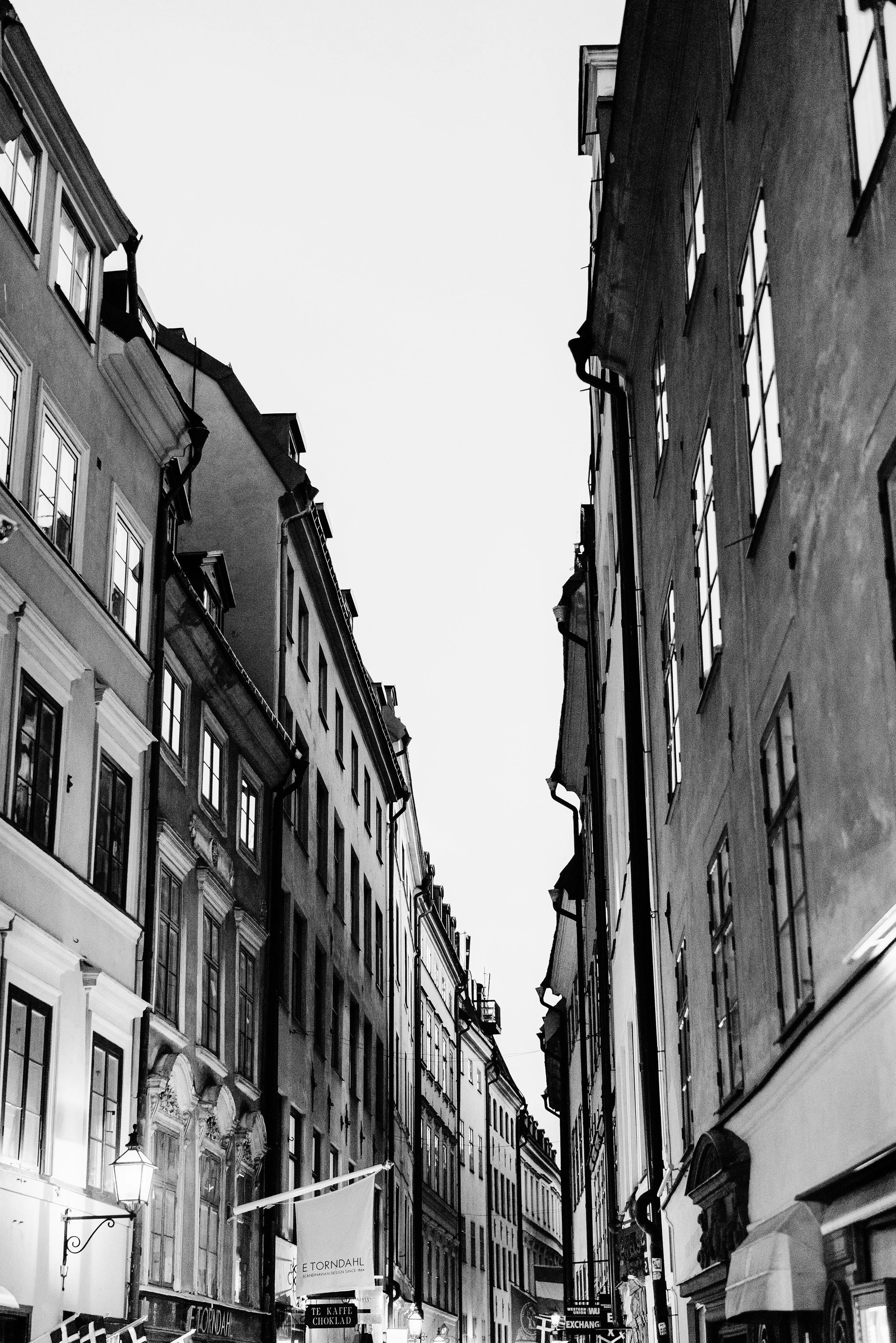DSC06200 copy.jpg