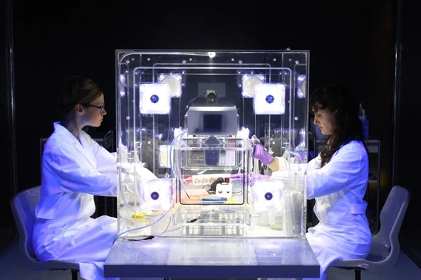 Predavanje Maje Smrekar: "Meddisciplinarnost pri povezovanju ...“ 