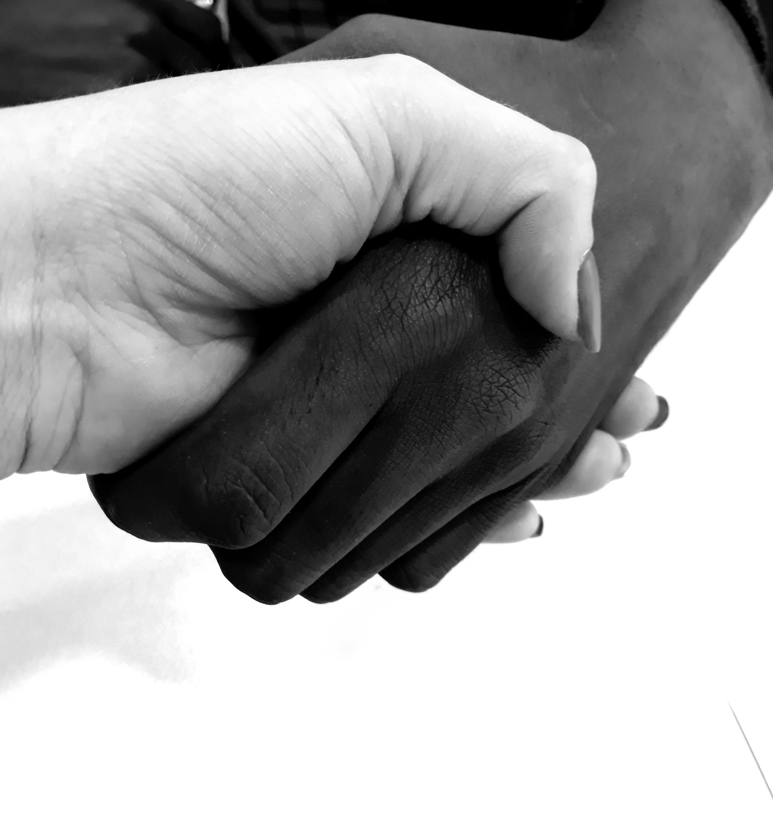 PROGRAM INTEGRACIJE.jpg