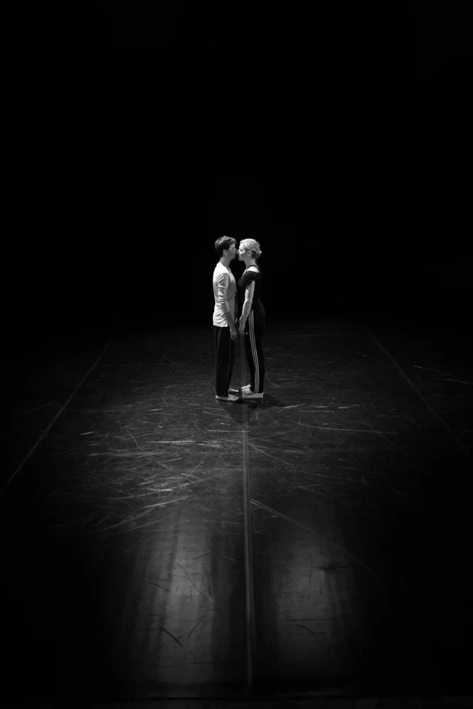 Performa & Platforma - 4. dan