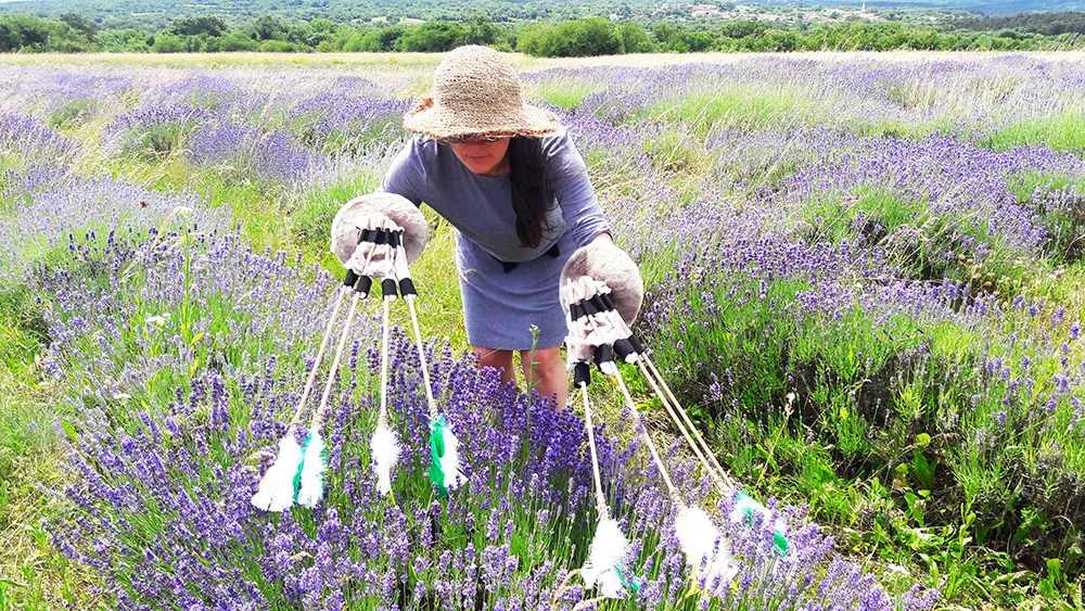 Polonca Lovšin, Opraševalski kolektiv_Kolekcija Bodi čebela, Pollinators Collective _Be a Bee Collection, 2016-2018.jpg